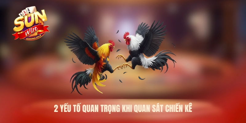 Kinh Nghiệm Đá Gà Cựa Sắt Sunwin – Bí Quyết Quan Sát 2026 2 2 yếu tố quan trọng khi quan sát chiến kê