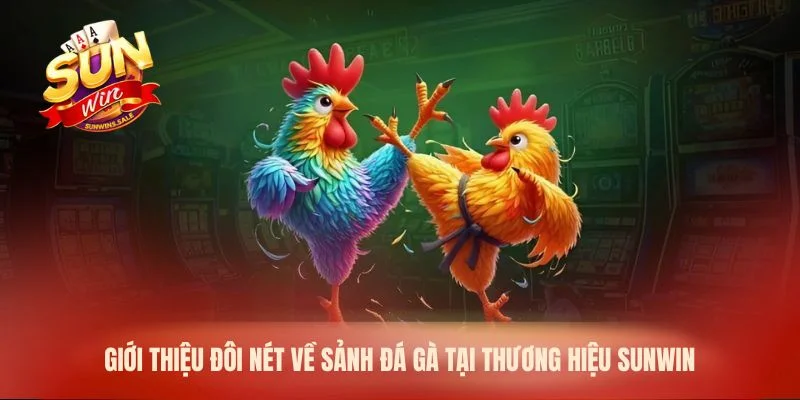 Giới thiệu đôi nét về sảnh đá gà tại thương hiệu Sunwin