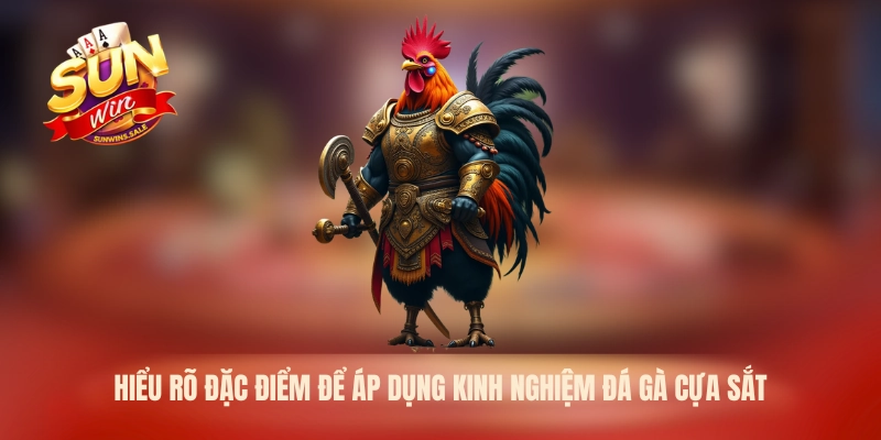 Kinh Nghiệm Đá Gà Cựa Sắt Sunwin – Bí Quyết Quan Sát 2026 1 Hiểu rõ đặc điểm để áp dụng kinh nghiệm đá gà cựa sắt