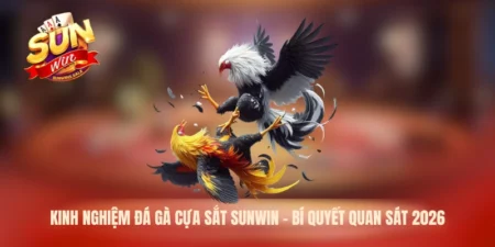 kinh nghiệm đá gà cựa sắt