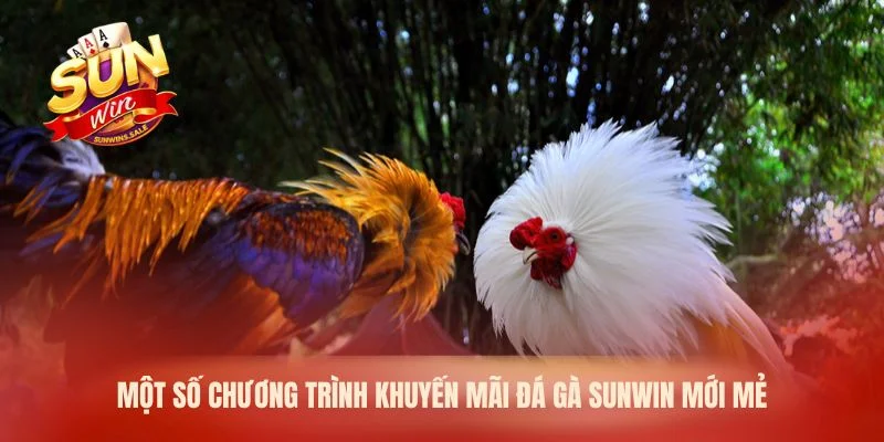 Một số chương trình khuyến mãi đá gà Sunwin mới mẻ