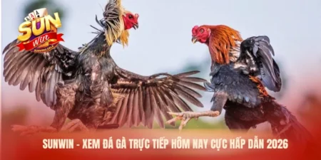 đá gà trực tiếp