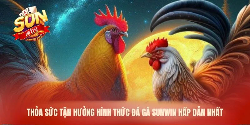 Thỏa sức tận hưởng hình thức đá gà Sunwin hấp dẫn nhất